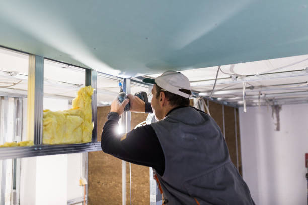 Best Insulation Removal Services  in USA